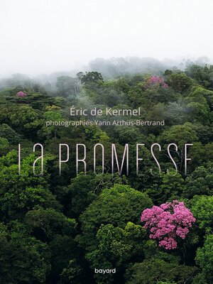 cover image of La promesse